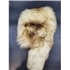 Image 2 : Caribou Clothes Fur Earflop Hat