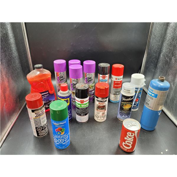 Spray Paint, Car Wash, & WD-40 Lot