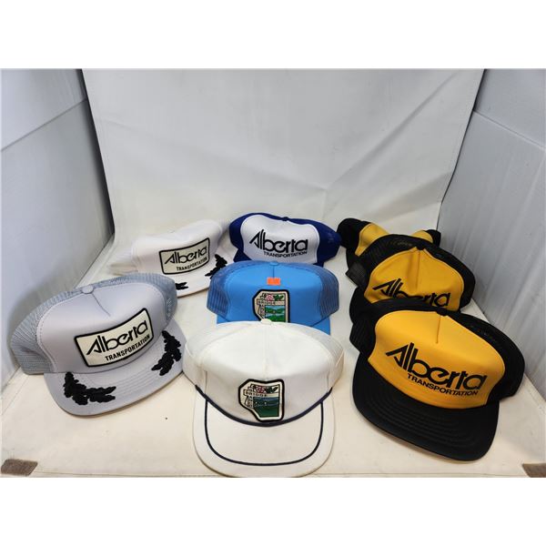 Assorted Hat Lot