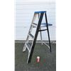 Image 1 : 3-Step Ladder