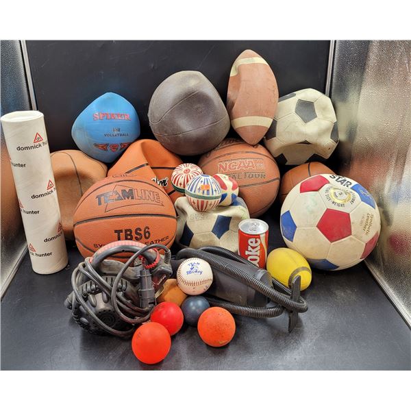 Sports Ball & Pump Lot