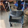 Image 2 : EVOLUTION MOBILITY CART