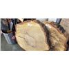 Image 2 : 2 LARGE BURL, APPROX. 30" DIAMETER