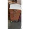 Image 2 : TWO ROLLING STORAGE CABINETS
