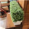 Image 2 : ARTIFICIAL PLANT