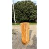 Image 10 : LIVE EDGE TREE TRUNK/HOLLOW LOG/HOLLOW TREE STUMP FURNITURE STATEMENT PIECE