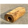 Image 3 : LIVE EDGE TREE TRUNK/HOLLOW LOG/HOLLOW TREE STUMP FURNITURE STATEMENT PIECE