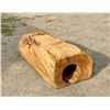 Image 4 : LIVE EDGE TREE TRUNK/HOLLOW LOG/HOLLOW TREE STUMP FURNITURE STATEMENT PIECE