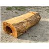 Image 6 : LIVE EDGE TREE TRUNK/HOLLOW LOG/HOLLOW TREE STUMP FURNITURE STATEMENT PIECE