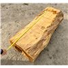 Image 7 : LIVE EDGE TREE TRUNK/HOLLOW LOG/HOLLOW TREE STUMP FURNITURE STATEMENT PIECE
