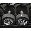 Image 1 : LOT OF 2 55LB BELLS OF STEEL URETHANE DUMBBELLS