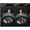 Image 1 : LOT OF 2 50LB BELLS OF STEEL URETHANE DUMBBELLS