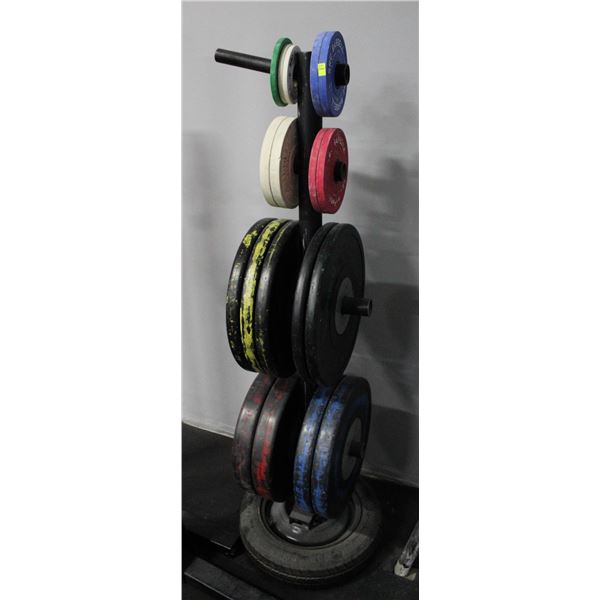 CUSTOM WEIGHT RACK W/ VARIOUS WEIGHT PLATES