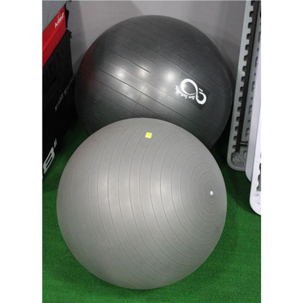 SET OF 2 EXERCISE BALLS