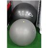 Image 1 : SET OF 2 EXERCISE BALLS