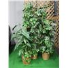 Image 1 : LOT OF 3 ARTIFICIAL TREES