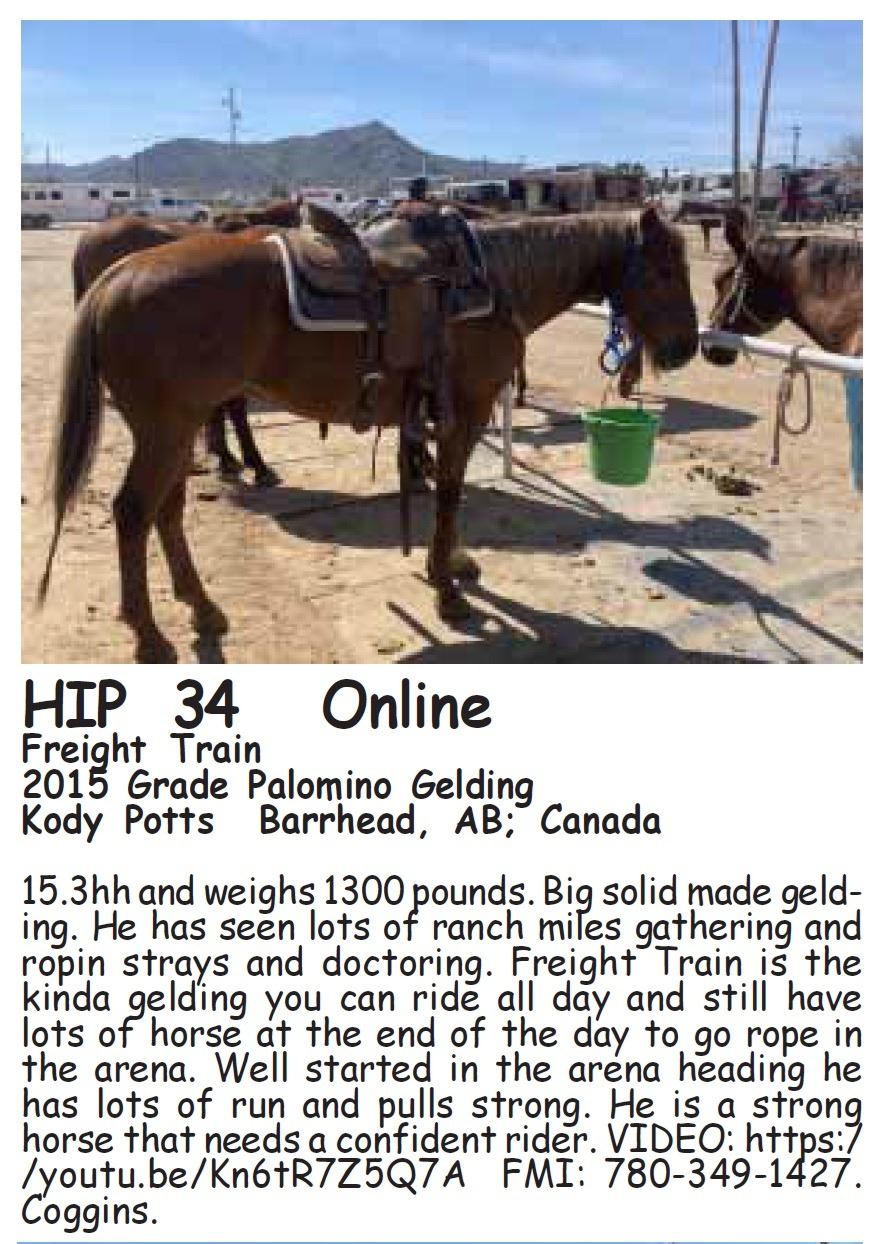 Freight Train Northern Livestock Video Auction