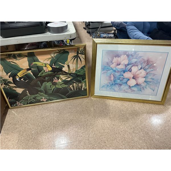 2pc artwork framed picture of Tucan & flowers print