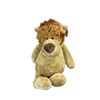 Image 1 : Lions Club Mascot stuffed animal with belly button