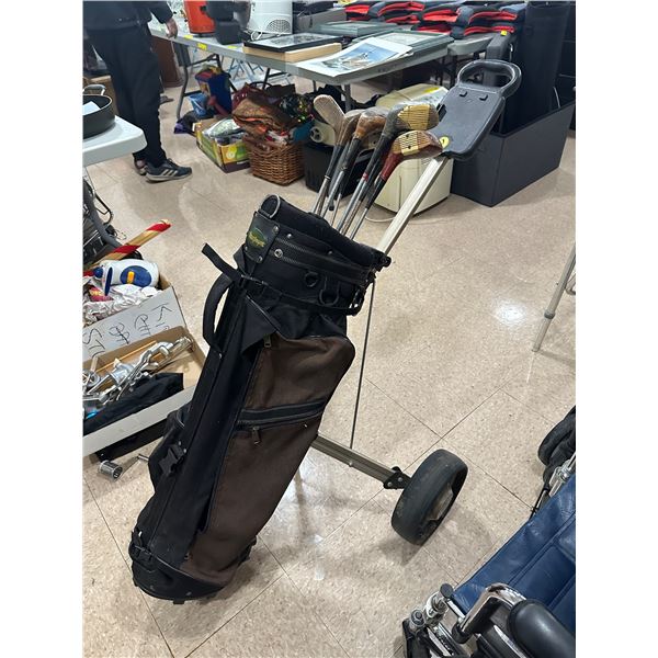 MacGregor golf bag with vintage golf clubs on golf club push cart