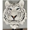 Image 2 : Decorative wall mounted white tiger