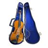 Image 1 : Vintage violin in hard case
