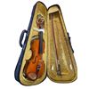 Image 1 : Vintage violin with hardcase