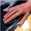 Image 2 : Group of assorted set dec props - includes 3 amputated hands (from the horror fiction series)