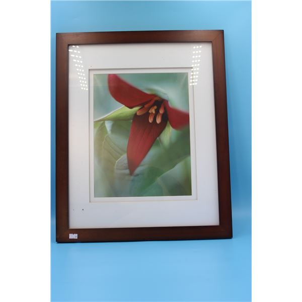 Picture Frame