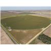 Image 1 : 160  /- Acres of Pawnee Co, KS Irrigated Land