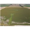 Image 7 : 160  /- Acres of Pawnee Co, KS Irrigated Land