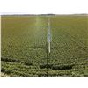 Image 9 : 160  /- Acres of Pawnee Co, KS Irrigated Land
