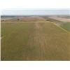 Image 9 : 160 +/- Acres of Pawnee Co, KS DryLand