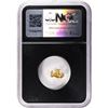 Image 2 : 1.21 Gram Sanoyta Mexico Gold Nugget NGC Vaultbox Unvaulted
