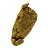 Image 2 : 1.70 Gram Sinaloa, Mexico Gold Nugget