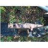 Image 2 : Anvil 27 1/2'' x 10 1/2'' 