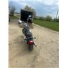 Image 2 : 2009 Harley Davidson XL1200l -Has TOD 