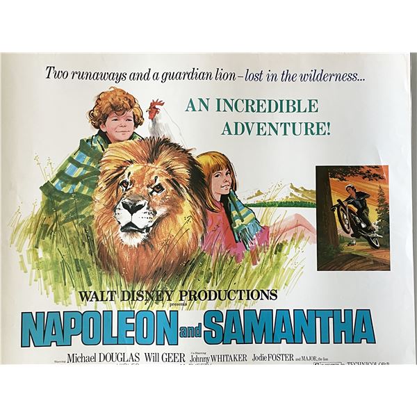 Napoleon and Samantha 1972 vintage movie poster
