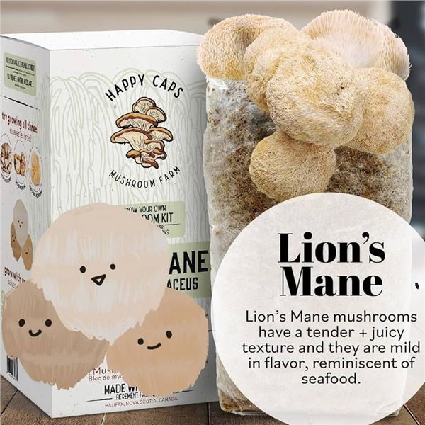 BRAND NEW HAPPY CAPS GROW YOUR OWN MUSHROOM KIT