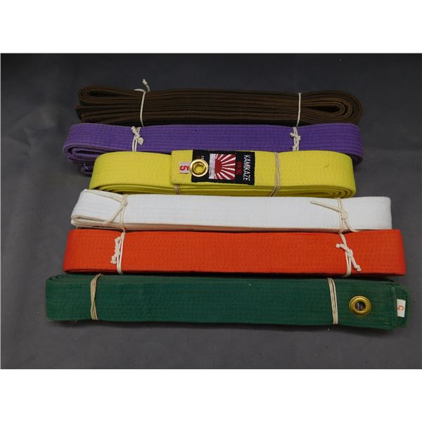 Lot of 6 Karate Belts Brown, Yellow, White, Red, Purple, Green