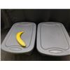 Image 2 : Lot of 2 Small Sterilite Storage Bins 12" x 16" x 8"