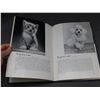 Image 8 : Rollei Photography Handbook of the Rolleiflex and Rolleico 1st Ed 2nd Print