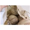 Image 2 : Softballs in Bag