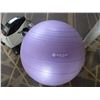 Image 5 : SooigerPeddle Machine w/Yoga/Exercise Ball