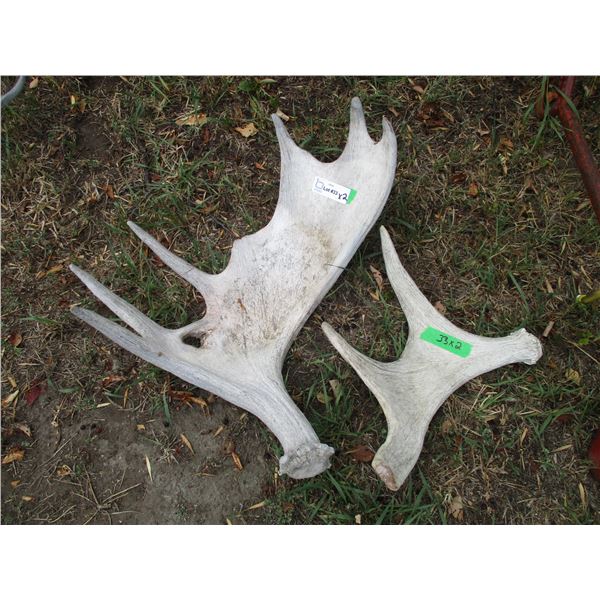 (2 pcs) Moose Sheds