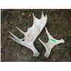 Image 1 : (2 pcs) Moose Sheds