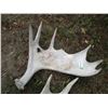 Image 2 : (2 pcs) Moose Sheds
