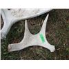 Image 3 : (2 pcs) Moose Sheds