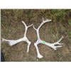 Image 1 : (2 pcs) Caribou Sheds
