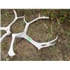Image 2 : (2 pcs) Caribou Sheds